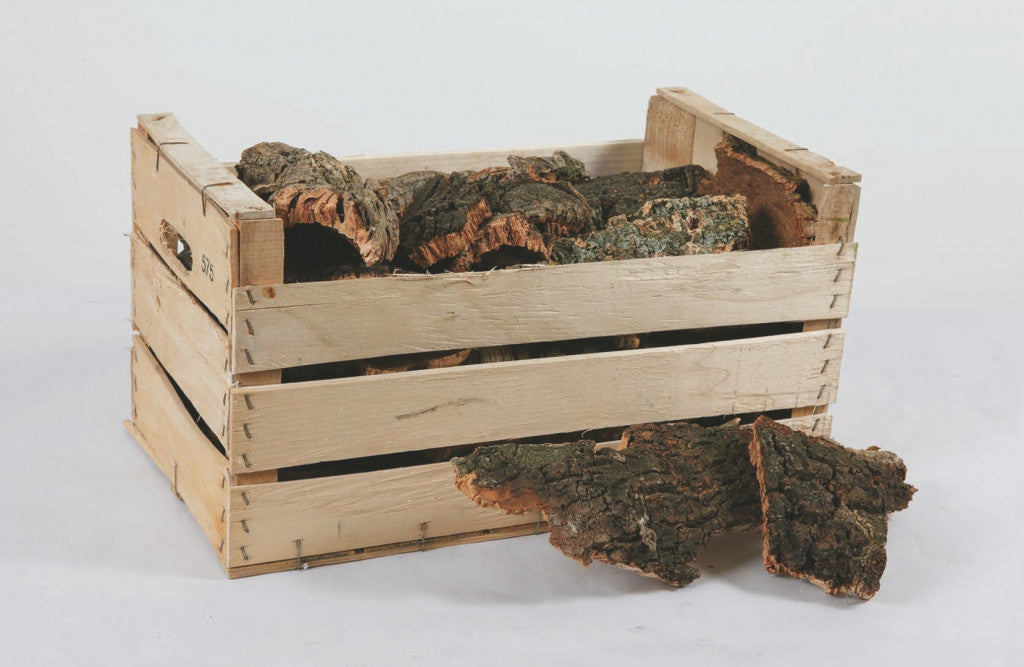 Liège dans une boîte en bois décoration de Noël