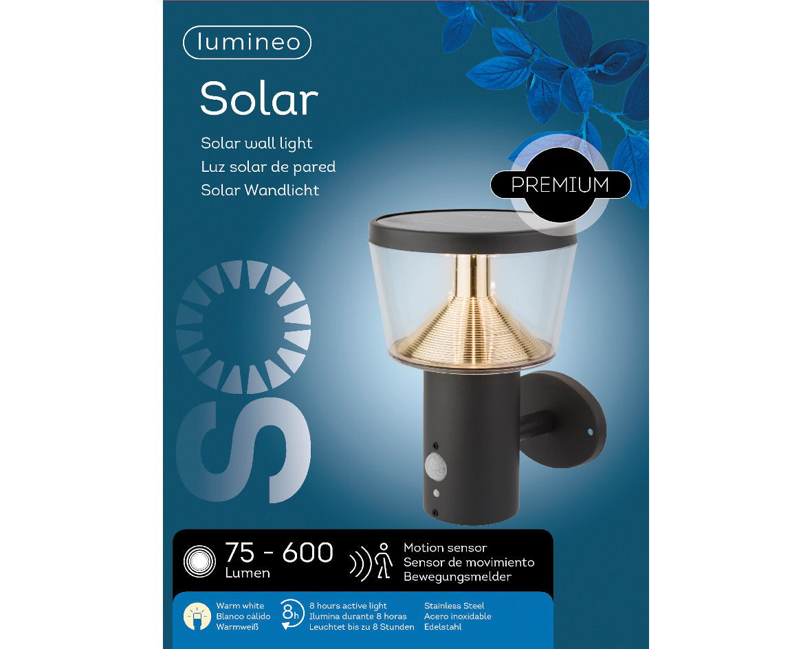 Applique solaire en acier inoxydable