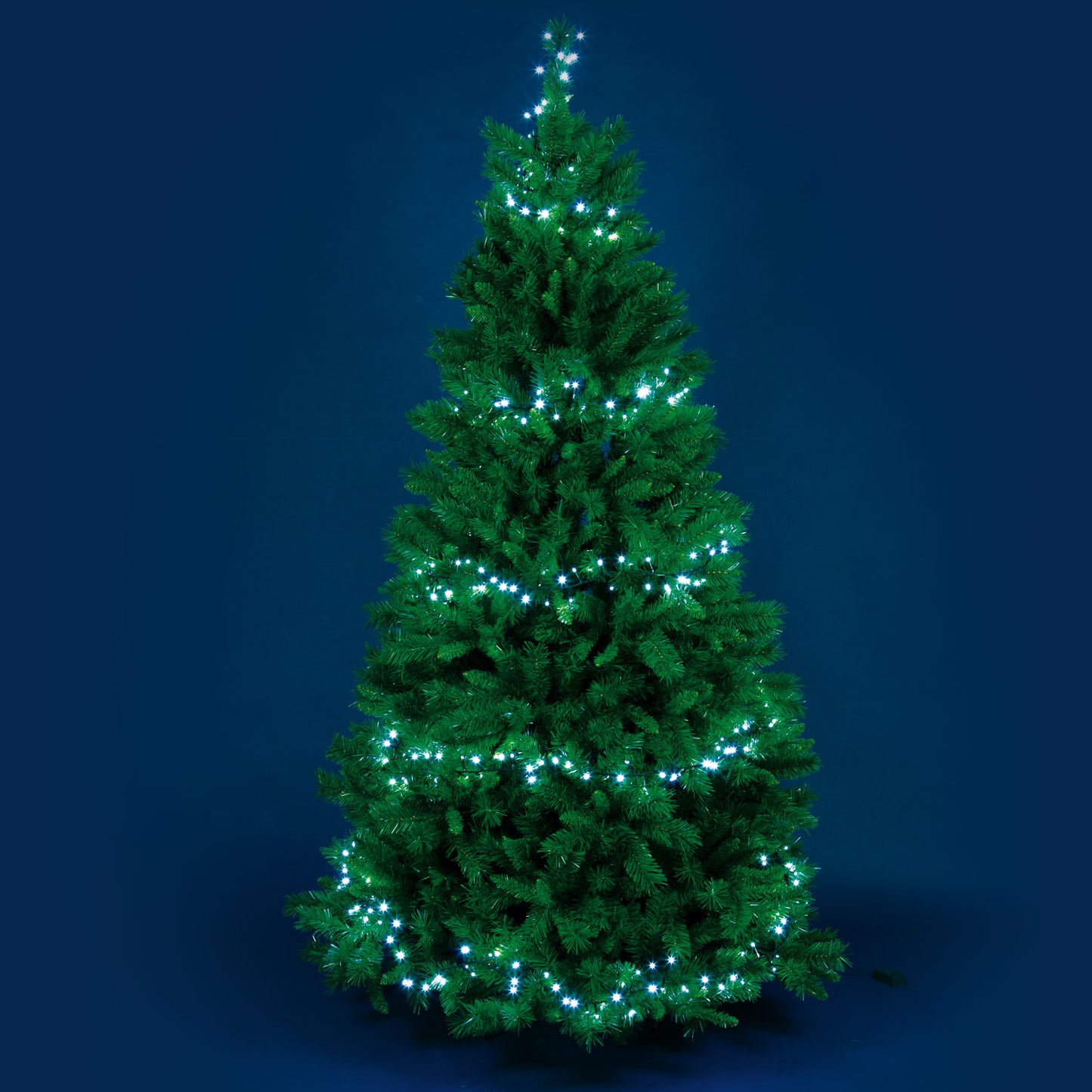 MiniCluster ø6cm NTL 1500 BLANC LED 4+30,5m Lumières de Noël