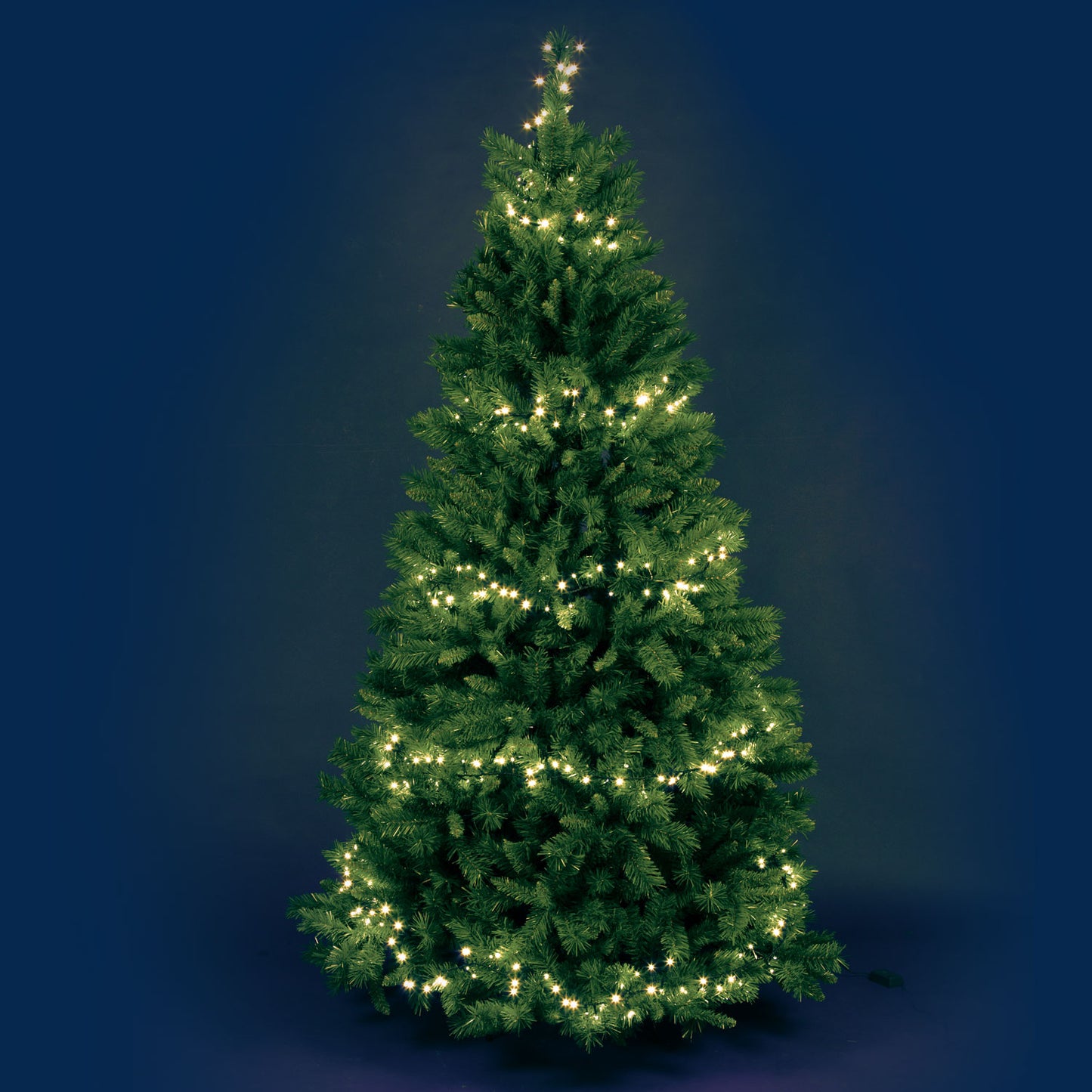 MiniCluster ø6cm NTL 1500 LED BLANC CHAUD 4+30,5m
lumières de Noël