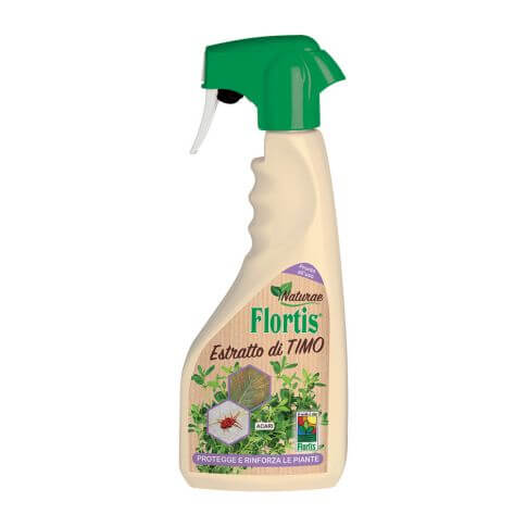 Extrait de thym prêt à l'emploi - 500 ml