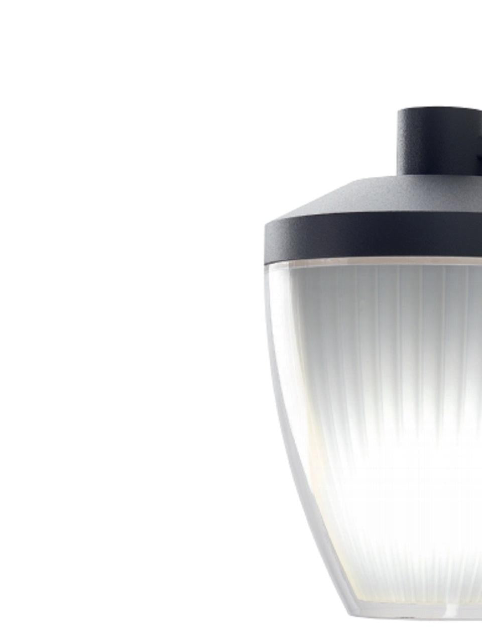 Applique Bottom E27 ligne ficus graphite