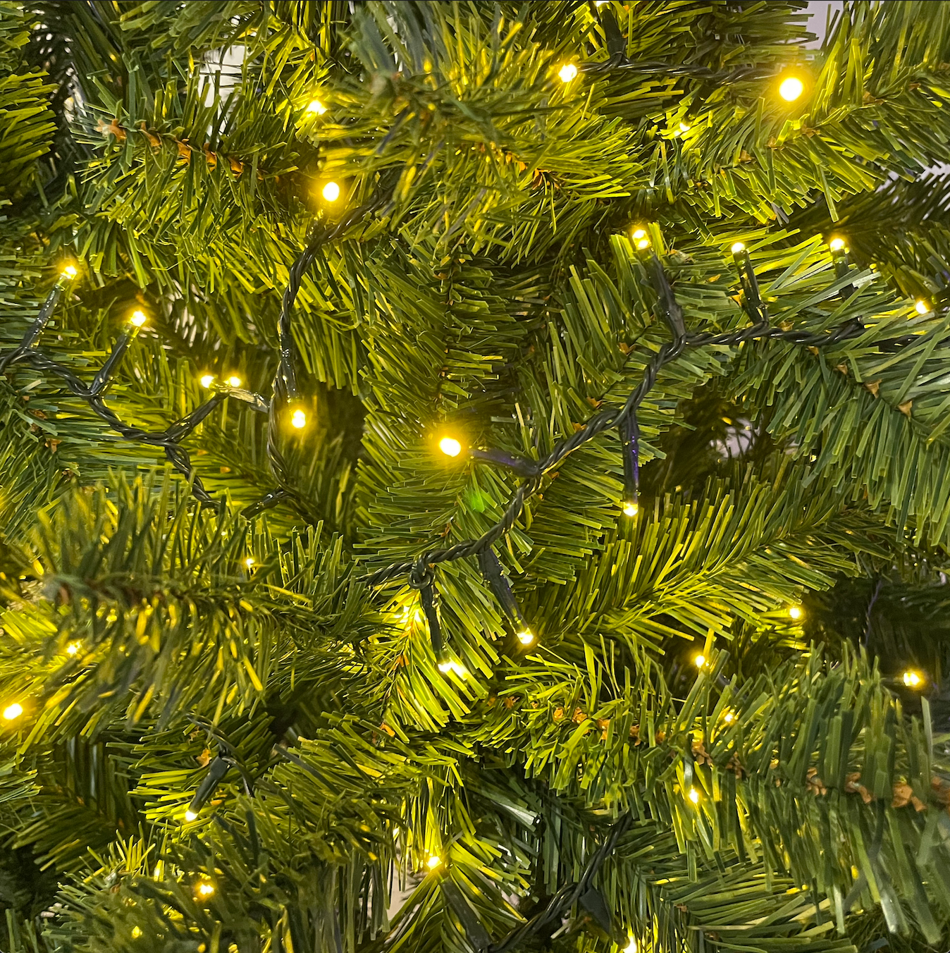 Chaîne NTLG 1000 MiniLED Blanc chaud Or Câble vert 4+30,5m