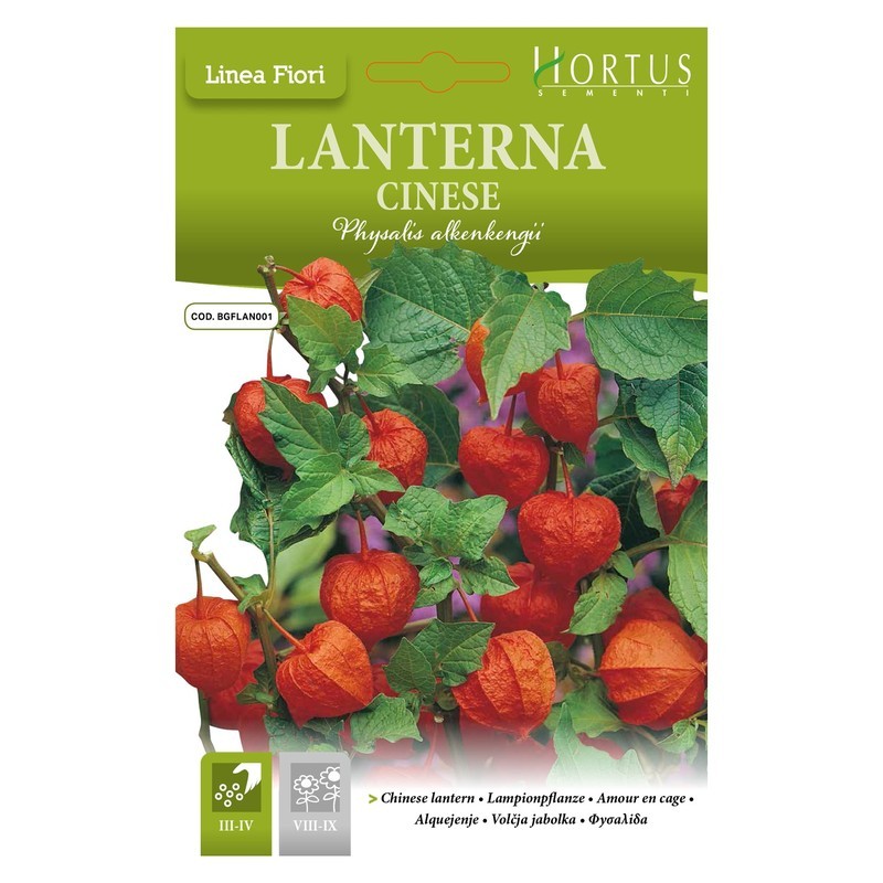 Lanterne chinoise DB