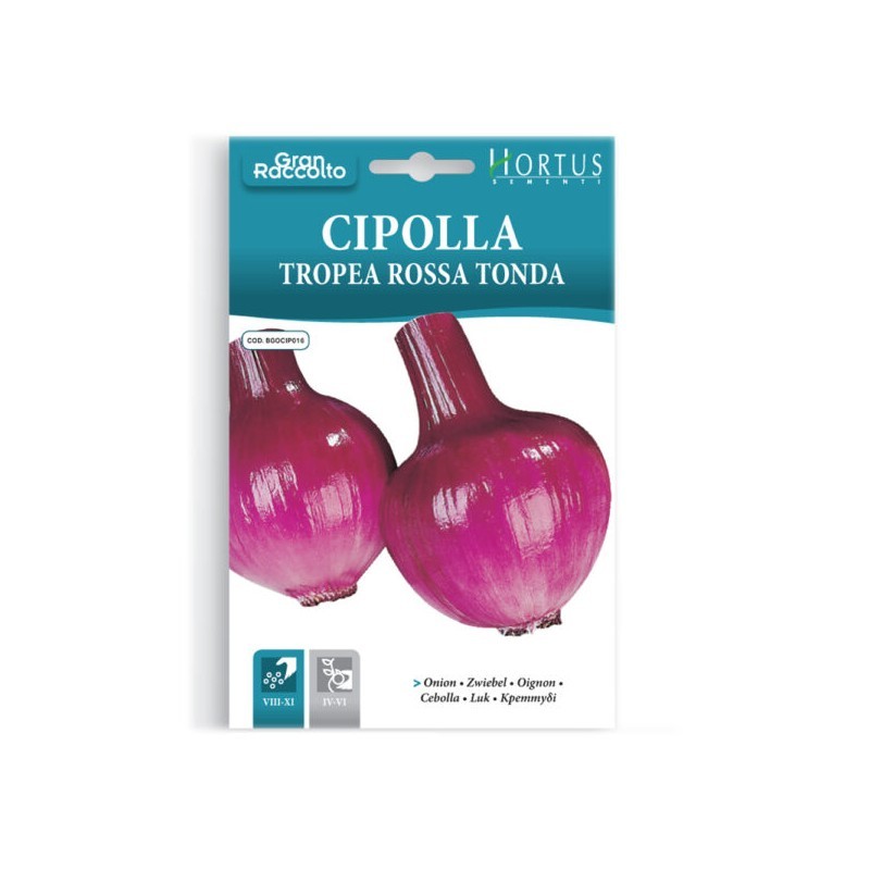 Oignon de Tropea rouge rond Gran Raccolto