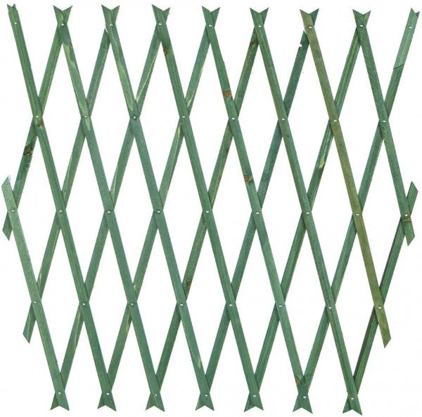 Treillis extensible en bois vert 100x200 cm