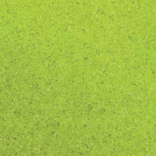 Sable décoratif vert pomme 0,5 mm 550 gr Flortis