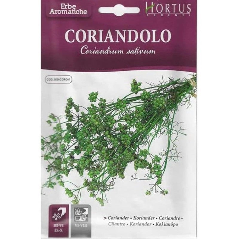 Coriandre DB