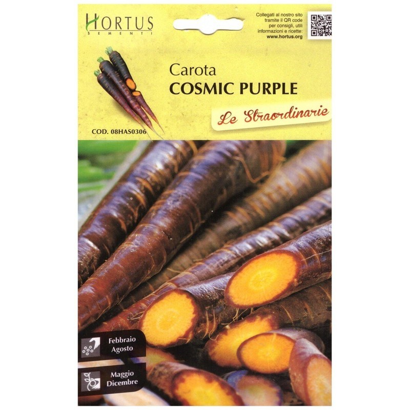 Carotte violette cosmique extraordinaire