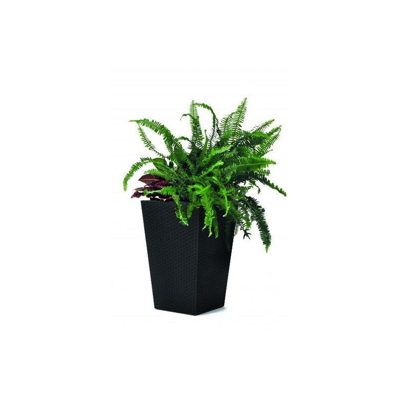 Vase Keter Planter S en rotin anthracite 23,6l cm 28,5x28,5x43,5 h