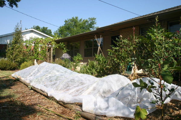 Feuille TNT blanche 3,2x10m