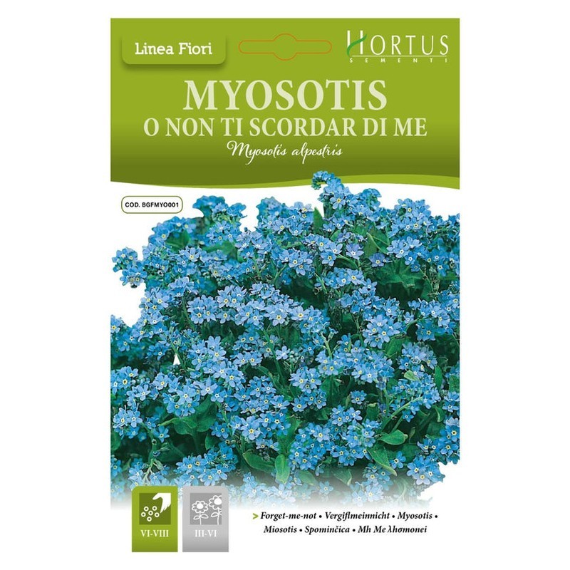 Myosotis Alpestris ou Myosotis DB