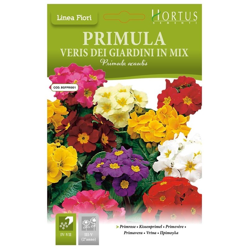 Primula veris Mélange de jardin DB