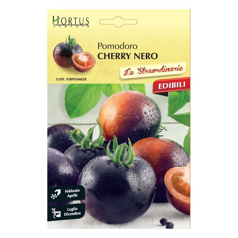 Tomates cerises noires extraordinaires