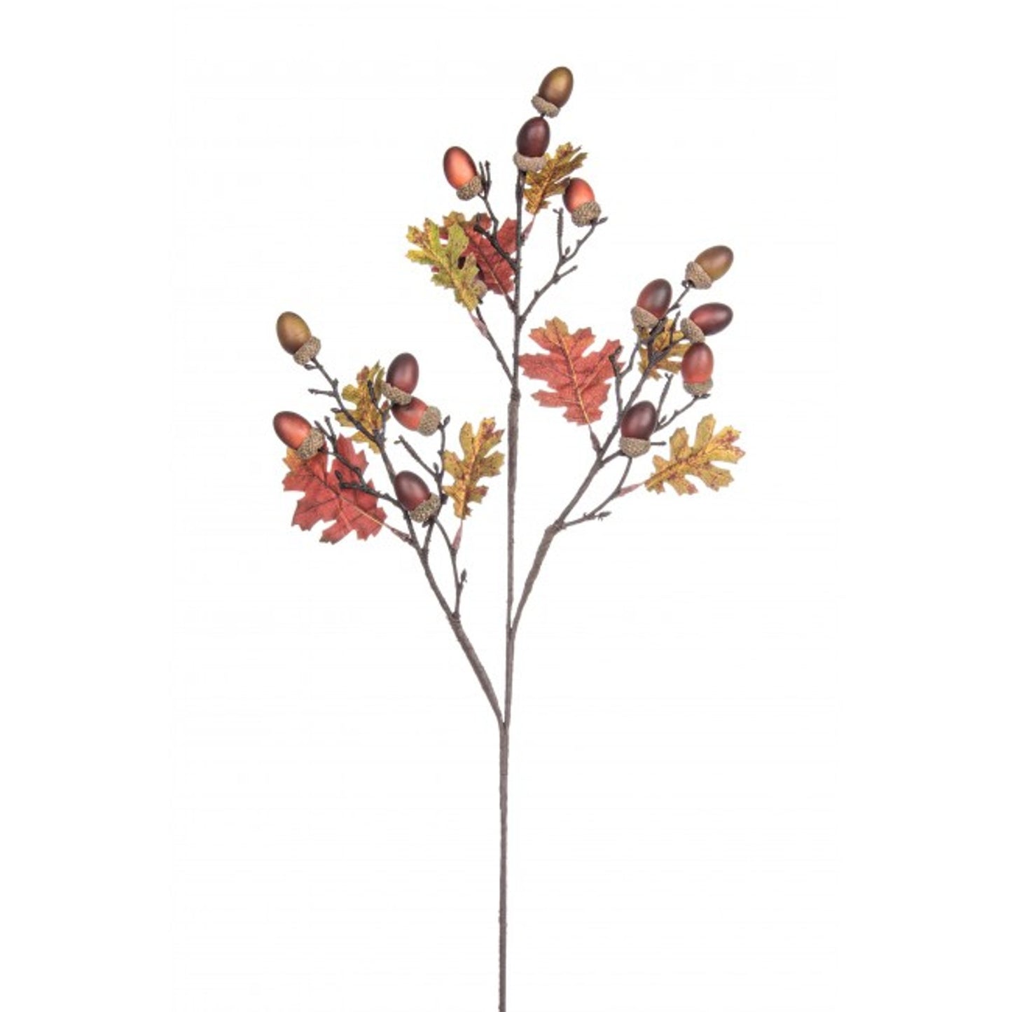 Quercia ramo rustica 84 cm