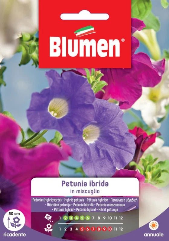 Pétunia hybride en mélange