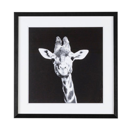 Quadro moderno 49x49 cm con vetro protettivo