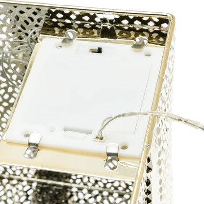 Transformateur XM-TR1 en option pour les lumières de Noël VPM