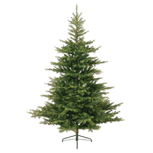 Sapin de Noël Grandis Ø172 x H 270 cm