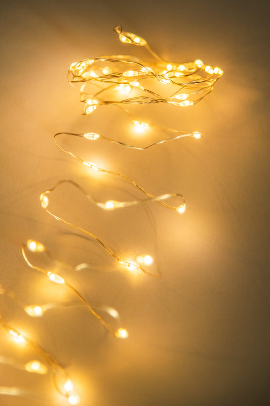 Micro Lumières Led Arg/BC 495Cm 100L