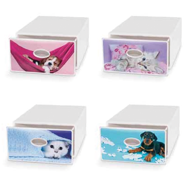 Qbox scatoall contient tout 78x58x43,5 cm