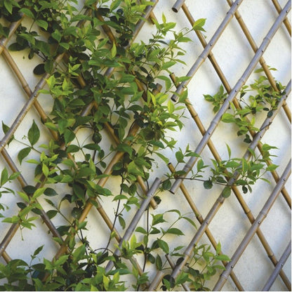 TREILLIE EXTENSIBLE EN BAMBOU 90X180