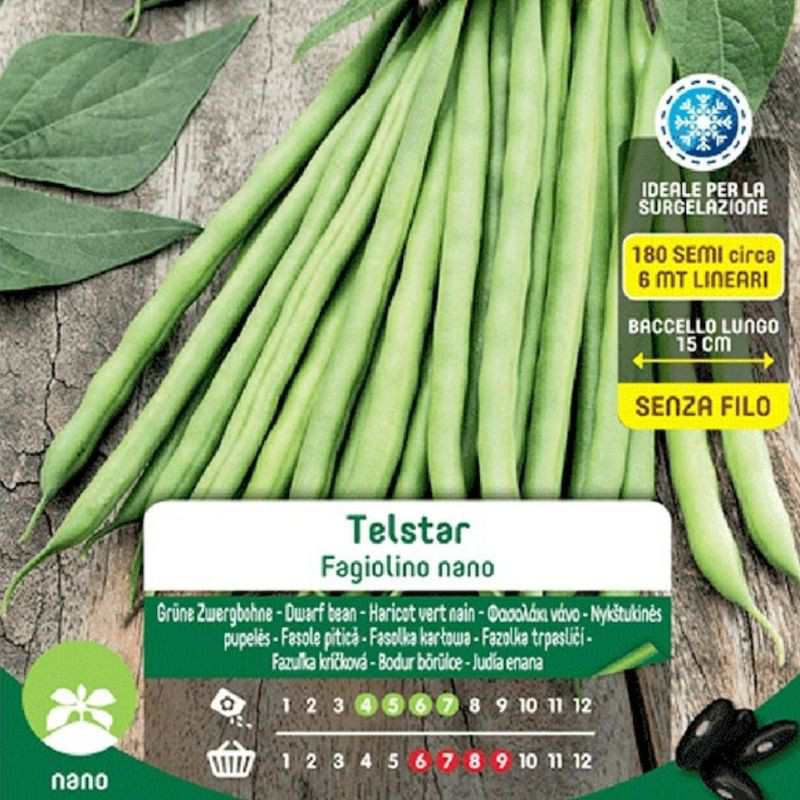Graines de Haricots Verts Nains Telstar Maxi Bag