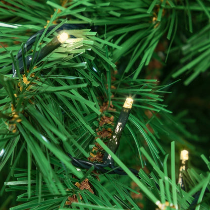 Chaîne blanc chaud 1000 MiniLED 70,4m