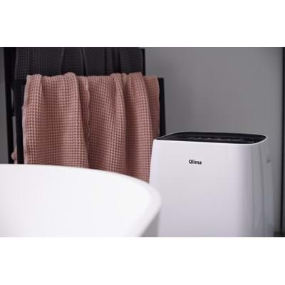 Déshumidificateur portatif D630P