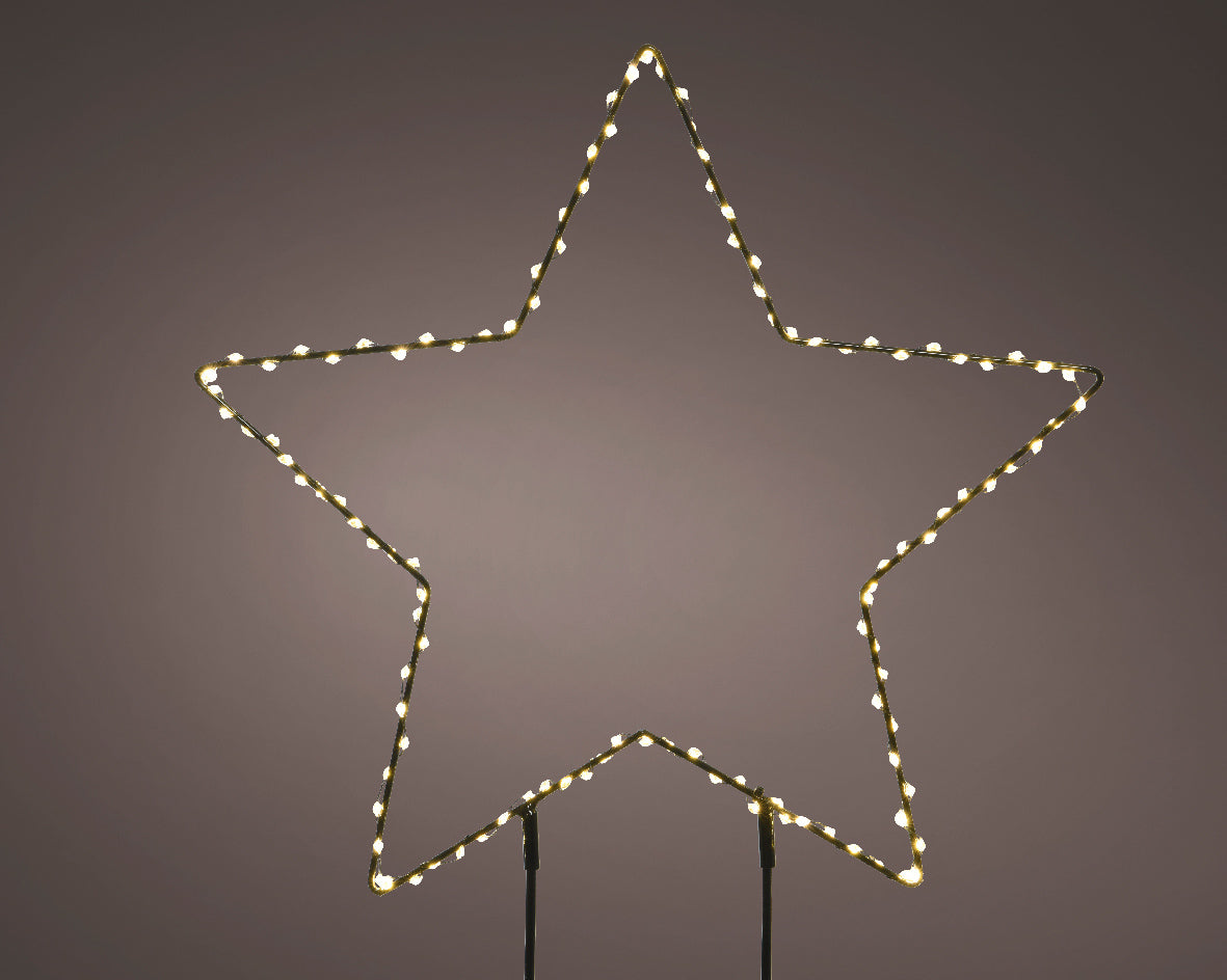 Lampe pour plantes de jardin étoile fixe Micro LED pour extérieur L 0,6 x Ø 38 cm