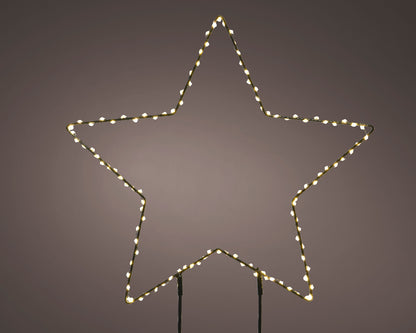 Lampe pour plantes de jardin étoile fixe Micro LED pour extérieur L 0,6 x Ø 38 cm