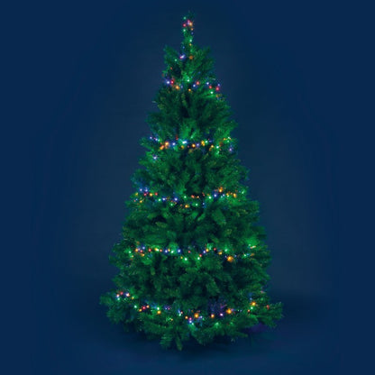 MiniCluster ø6cm 1000 LED multicolores 20,5m