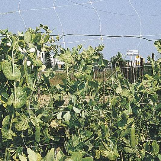 Filet d'escalade RAMPY 1,2x100 cm