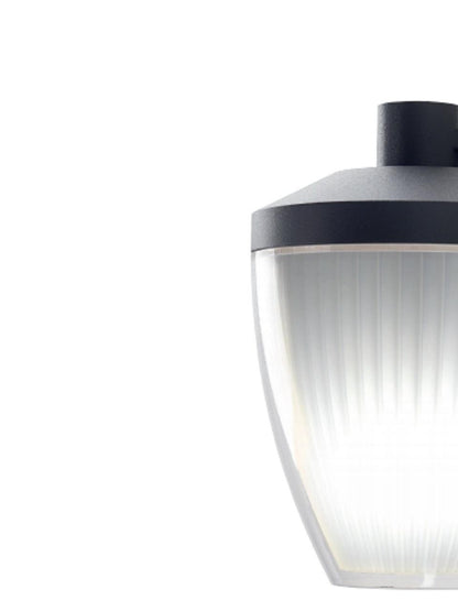 Applique Bottom E27 ligne ficus graphite