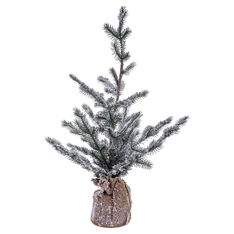 Pin du Nordend enneigé H 60 cm