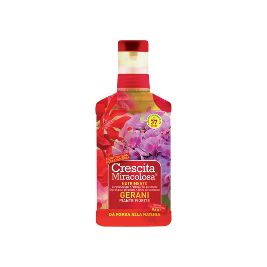 Croissance miraculeuse des géraniums avec le produit 750 ml