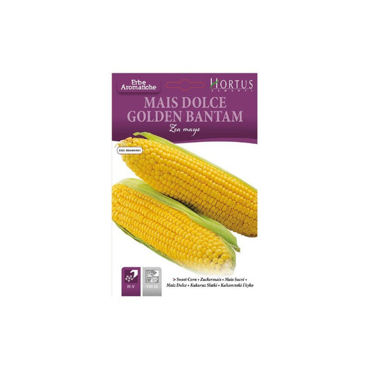 Maïs doux Golden Bantam DB