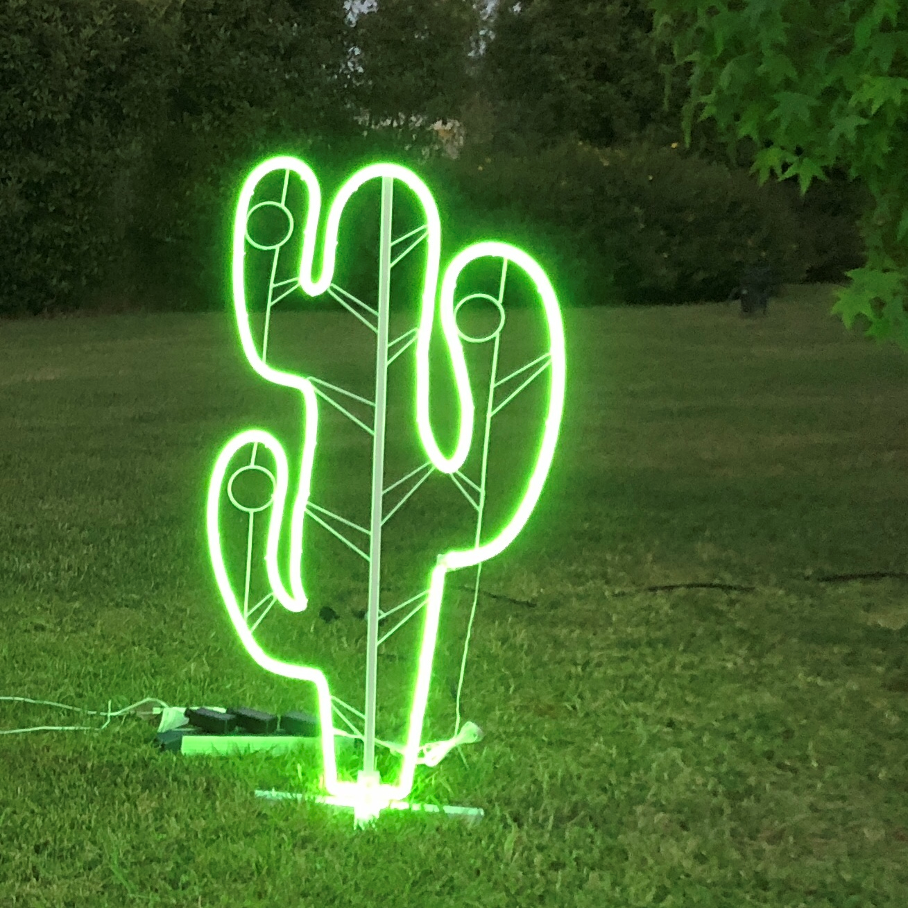 Cactus neon verde 4m x 1,20m 480 LED