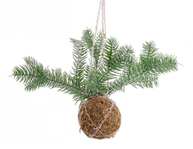 Décoration sphère Kokedama avec pin Ø 58 cm
