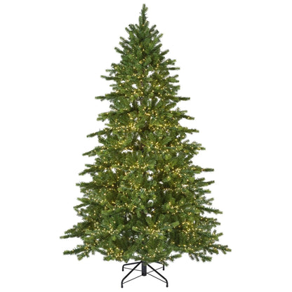 Albero di Natale Galloway Spruce verde con 7500 LED Ø160 × H270 cm