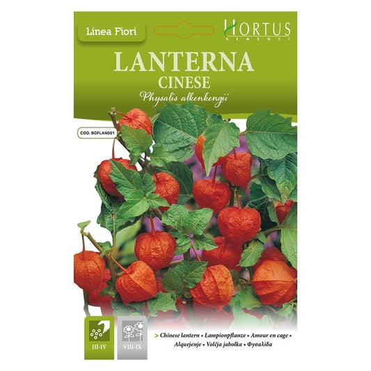 Lanterne chinoise DB