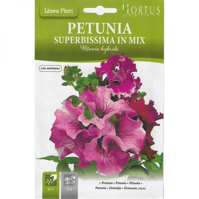 Pétunia Superbissima mélange DB