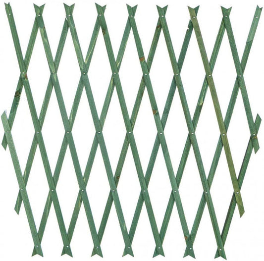 Treillis extensible en bois vert 100x200 cm
