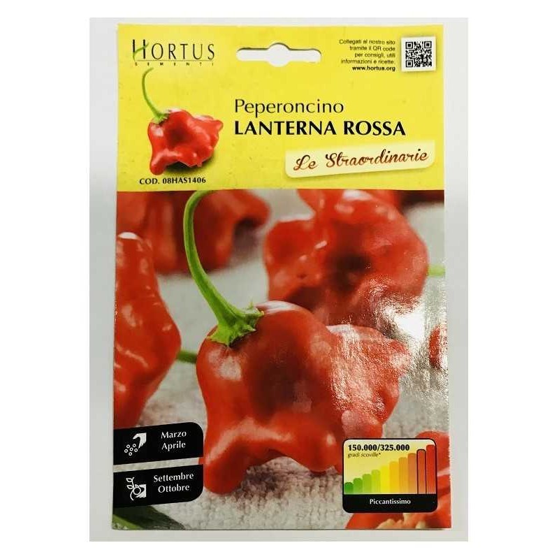 Piment Lanterne Rouge Extraordinaire