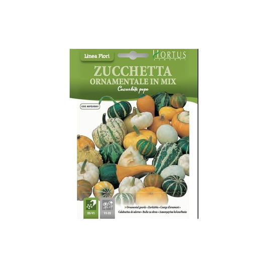 Mélange de citrouilles ornementales DB