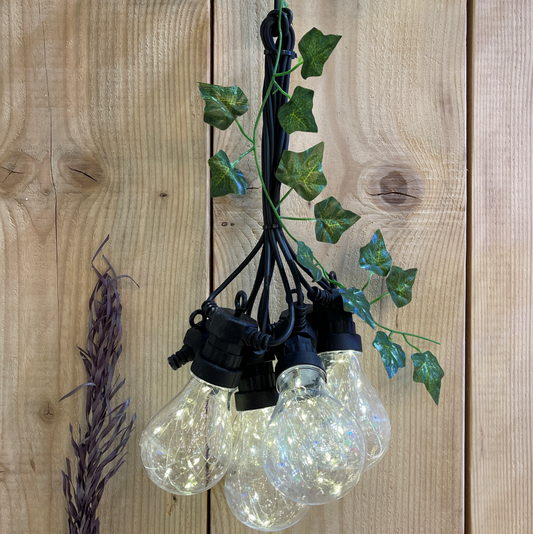 Chaîne de 10 ampoules MicroLED 5m