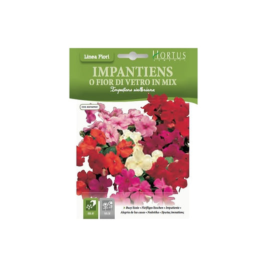 Impatiens ou mélange de fleurs en verre DB