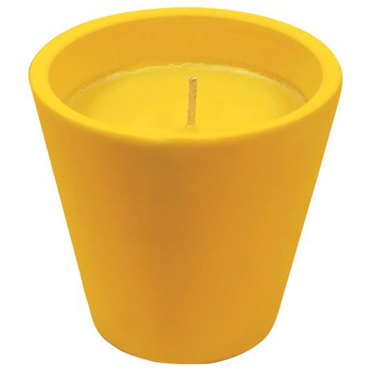 Verre en terre cuite Caribe à la citronnelle
