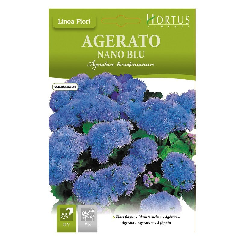 Ageratum Nano Bleu DB