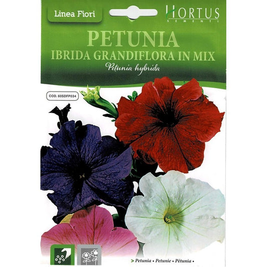Hybride Pétunia Grandiflora mélange DB